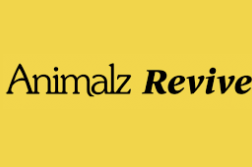 Animalz Revive